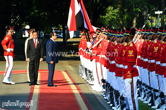 اليوم السابع -9 -2015